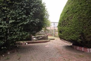 Garden- click for photo gallery